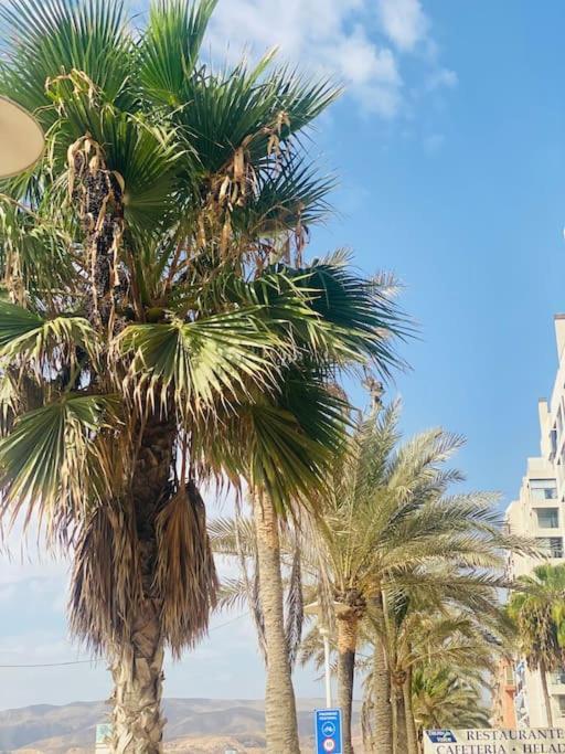 Apartment De Dos En Almeria. *